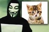 Eu Amo os  Animais & a Natureza