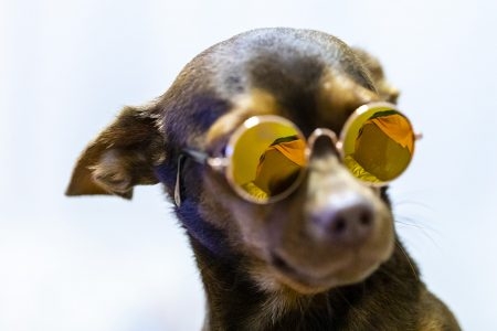 Te Incomodo? Que Pena Official