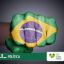 Eu Amo Brasil Fora Corruptos Oficial