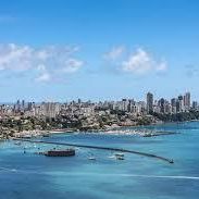 Salvador Oficial