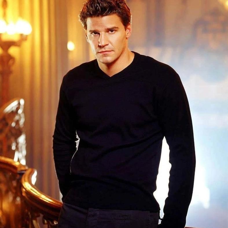 Angel David Boreanaz  Streep Summers