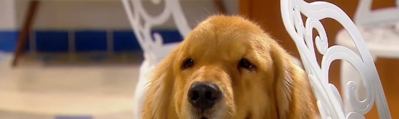 Hannah  Georgie Maclay Marsters