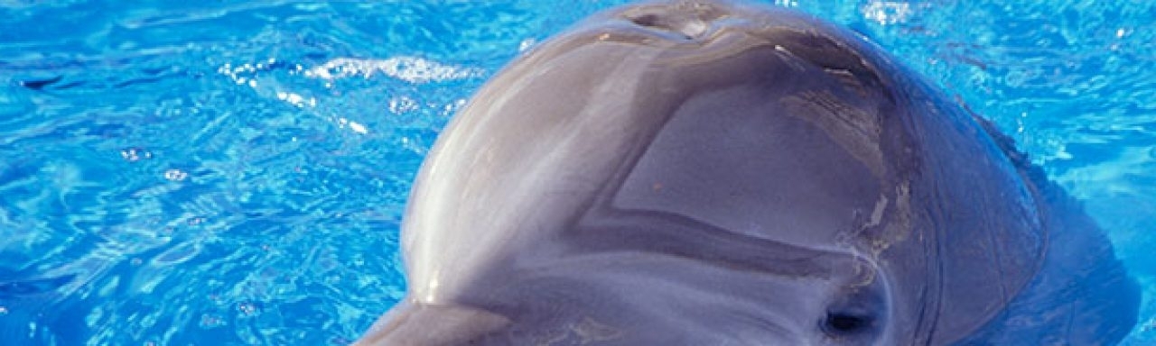 Anyanka Maclay Stewart