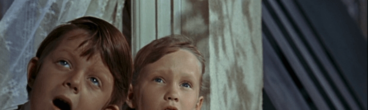 Michael Seth Maclay Stewart