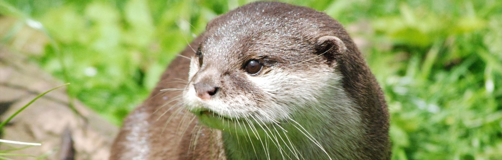 Jennifer Benson Maclay