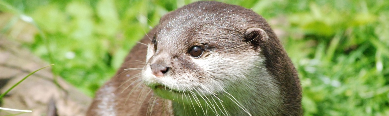 Jennifer Benson Maclay