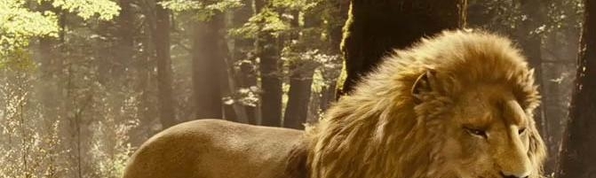 Angel David Boreanaz  Streep Summers