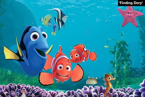 Dg Hoffman Benson Maclay