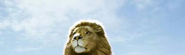 Charisma Maclay Marsters