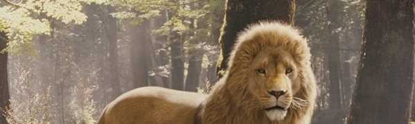 Nicolle Rockmore Streep Summers Maclay