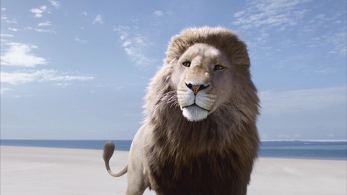 Lauren  Maclay Rosenberg