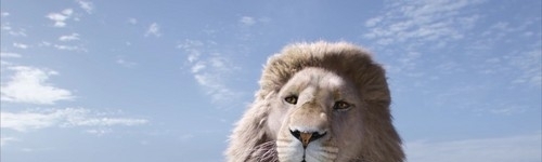 Lauren  Maclay Rosenberg