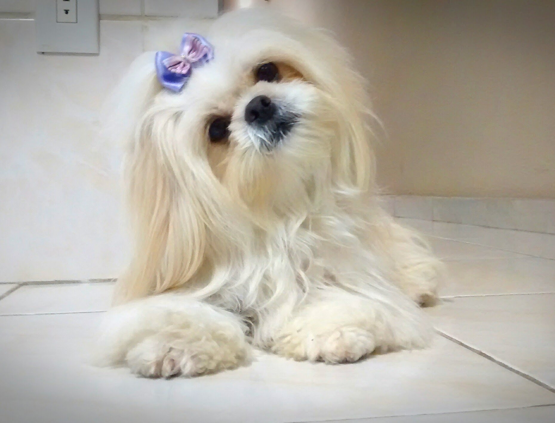 Beatriz Fernanda Chase Summers