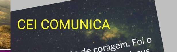 REDE EDUCACIONAL DE ENSINO E DO APRENDIZADO