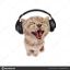 izaac fezes play