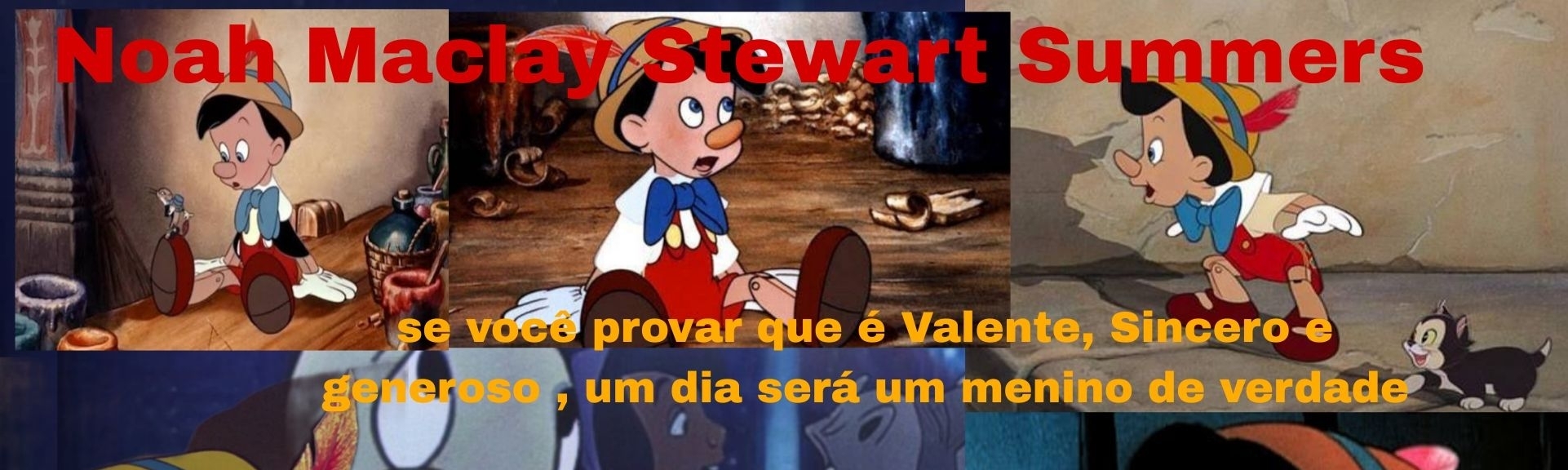 Noah  Maclay Stewart  Summers