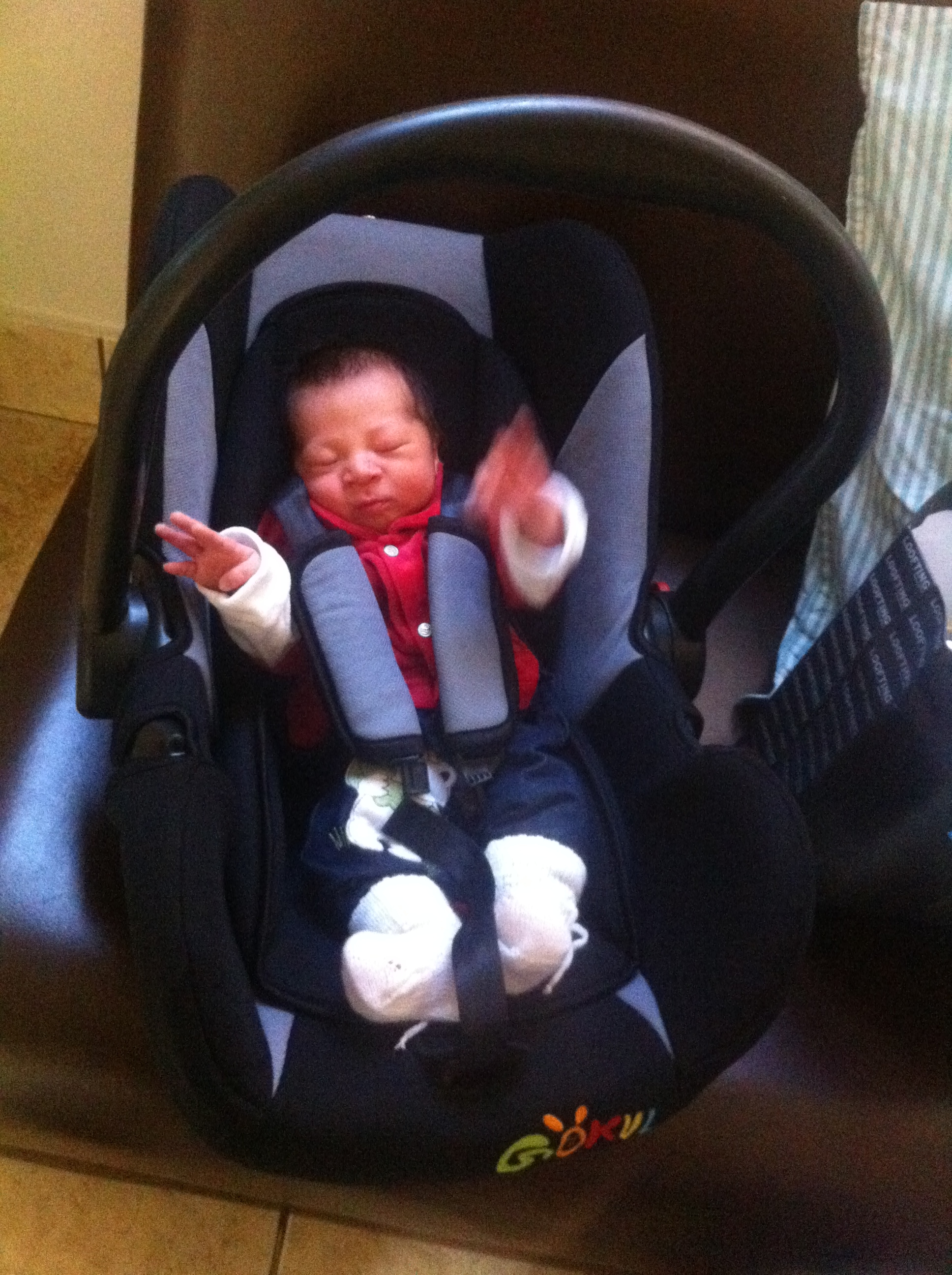 Anna Paula Padial Opanioto