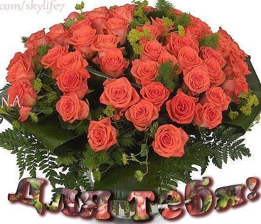 jose roberto lopes silva