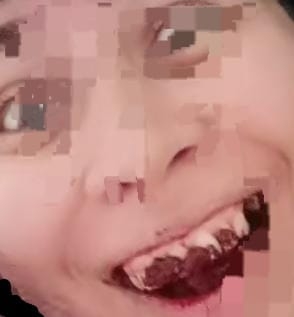 Felipe Neto Rodrigues Vieira